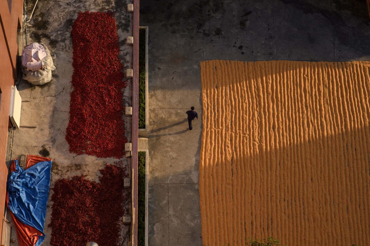 Το καλαμπόκι και οι πιπεριές στεγνώνουν σε μια αυλή στην Πιονγκγιάνγκ το 2017. Credit: Ed Jones/AFP
