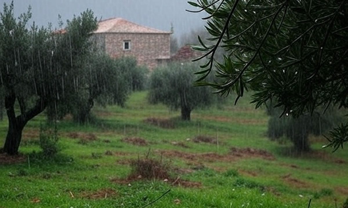 καιρός