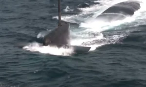 Υποβρύχια Barracuda: Έως και 15 MdCN πύραυλοι κρουζ στο κάθε υποβρύχιο και τορπίλες F21, Exocet SM39 και νάρκες FG-29